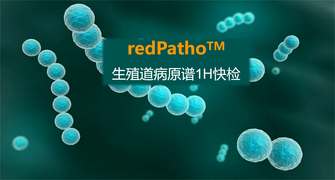 redPatho，生殖道感染病原譜